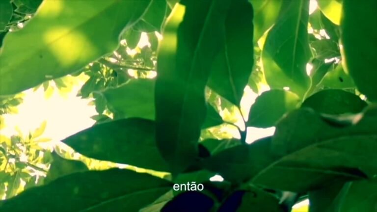 Maria Fátima – Produzir Alimentos é Amar o Próximo